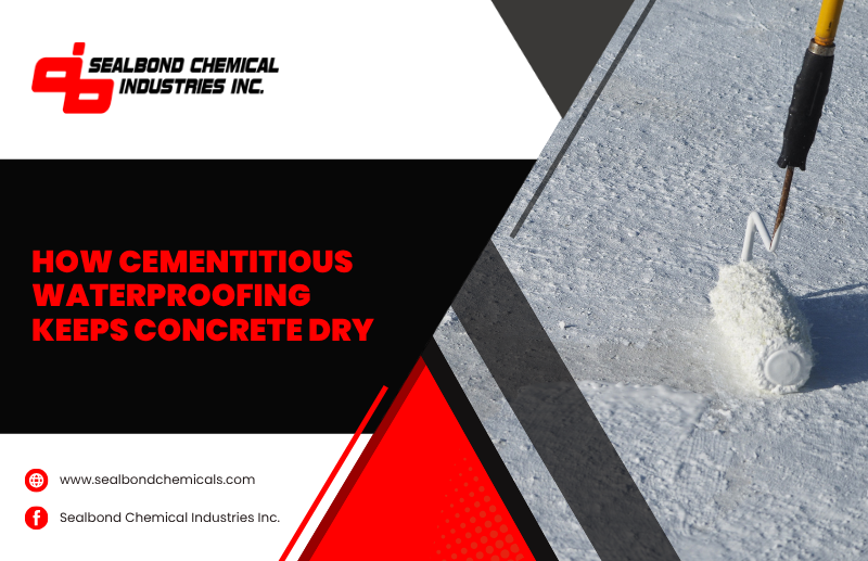 How Does Cementitious Waterproofing Prevent Water Damage?